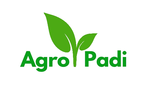 MyAgroPadi Ltd logo